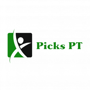 Picks PT - Logo