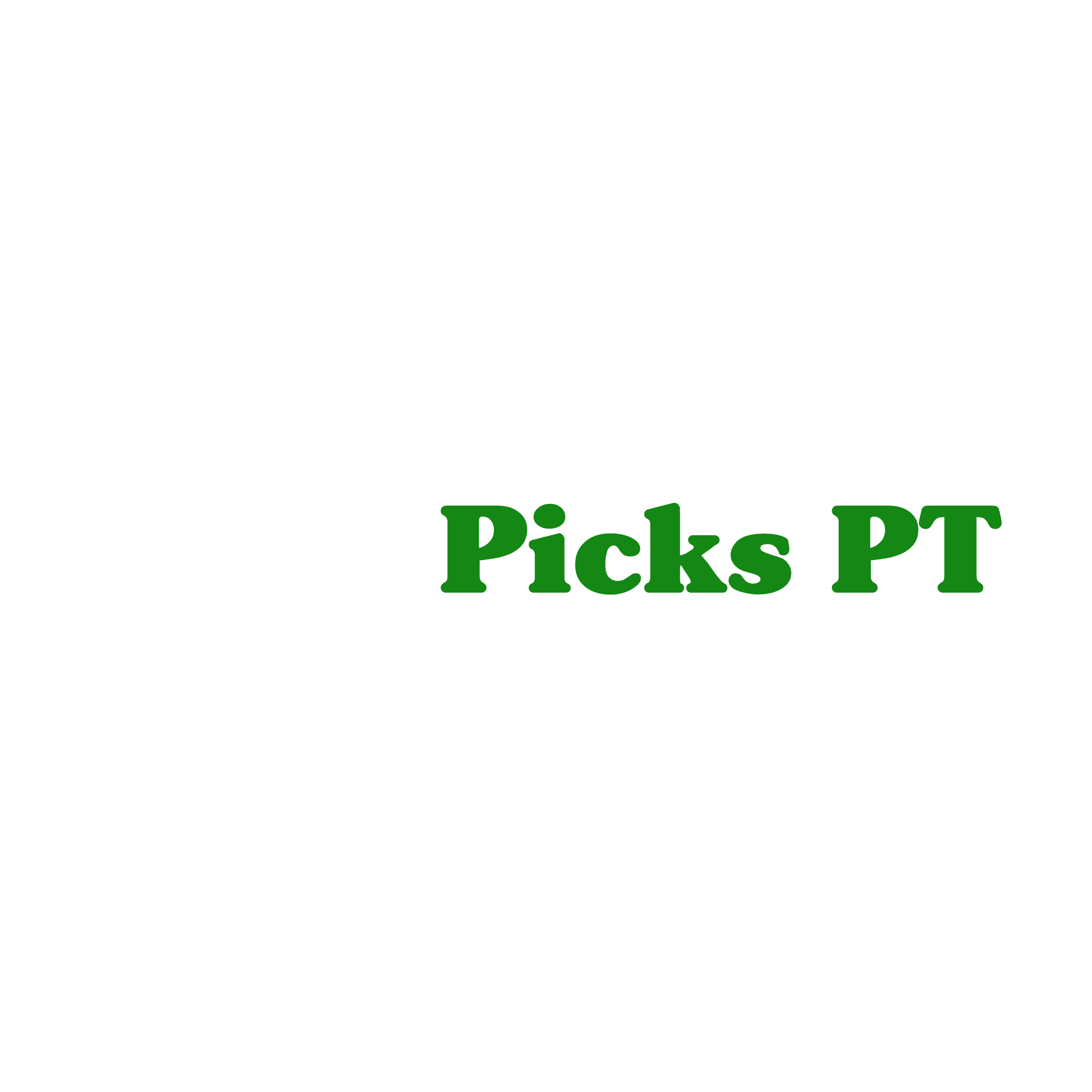 Picks PT - Personal Trainer Light Logo
